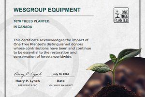 We’ve Just Planted Thousands of Trees Across Western Canada