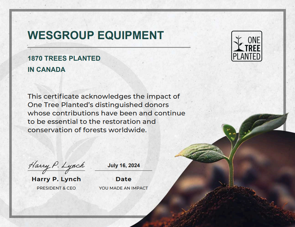 We’ve Just Planted Thousands of Trees Across Western Canada